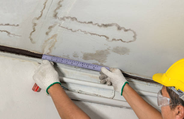 Reliable Water Damage contractor in Lafayette, NJ by Water Damage Irwin